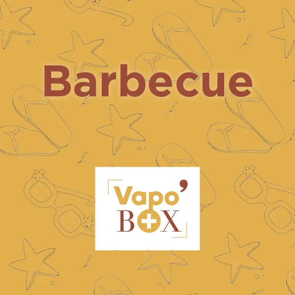 VAPO'BOX Barbecue