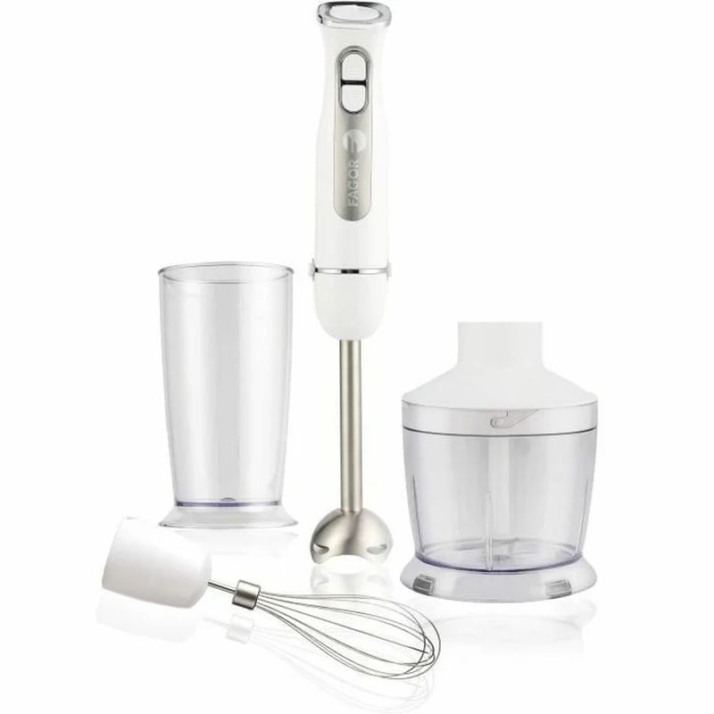 Hand-held Blender Fagor FG349 White 1000 W