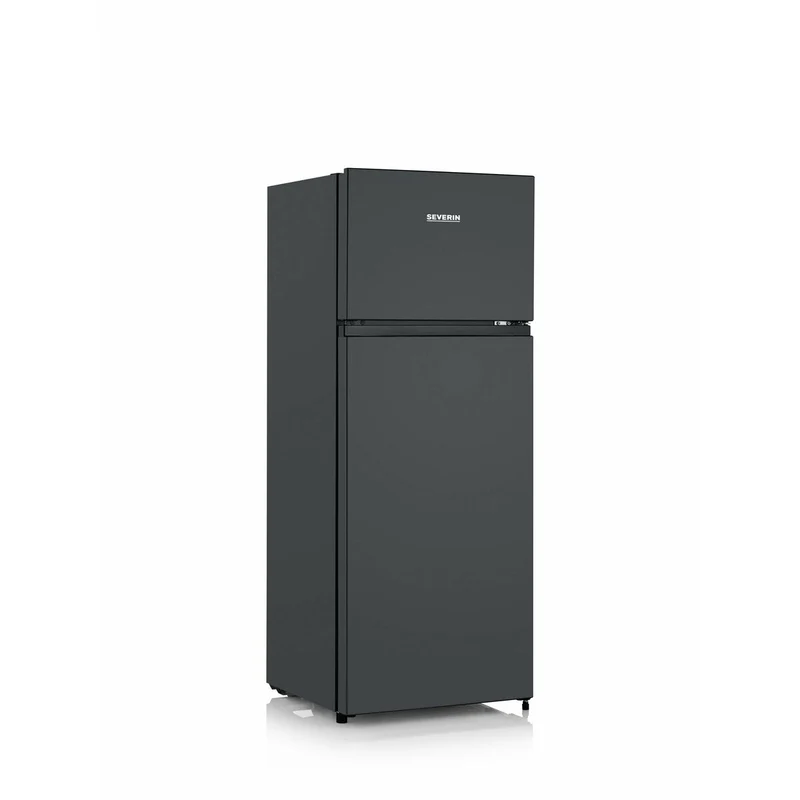 Combined Refrigerator Severin DT8762 144 206 L Black
